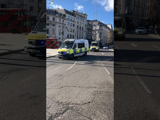 Metropolitan Police public order vans responding during 11/11/23 protests #police #london