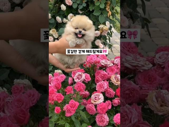 #탄머리복구 는 GTB헤어🫶 진정한 복구는 모든 시술이 가능하다는 것‍️