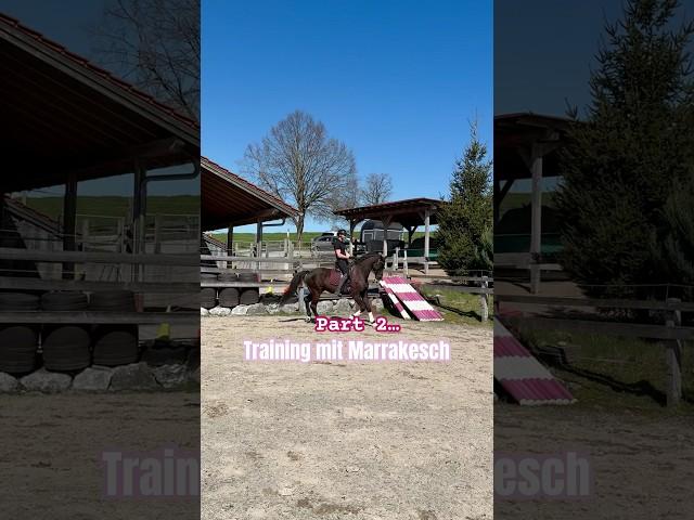 That was wild! #training #dressage