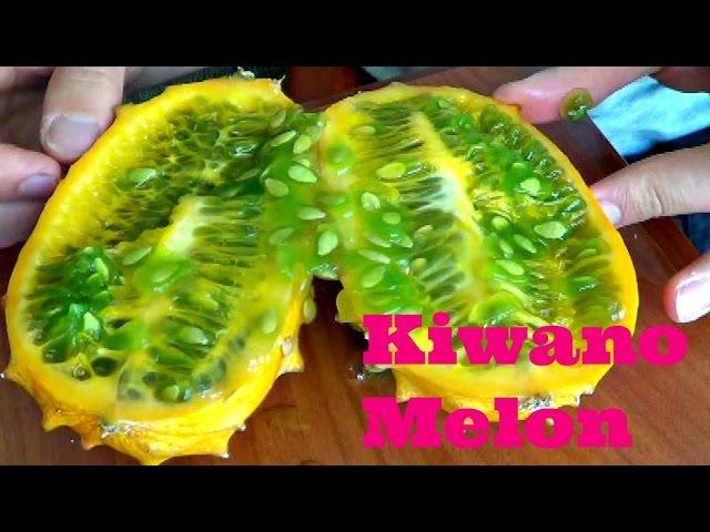 Kiwano Melon Review - Weird Fruit Explorer Ep 120