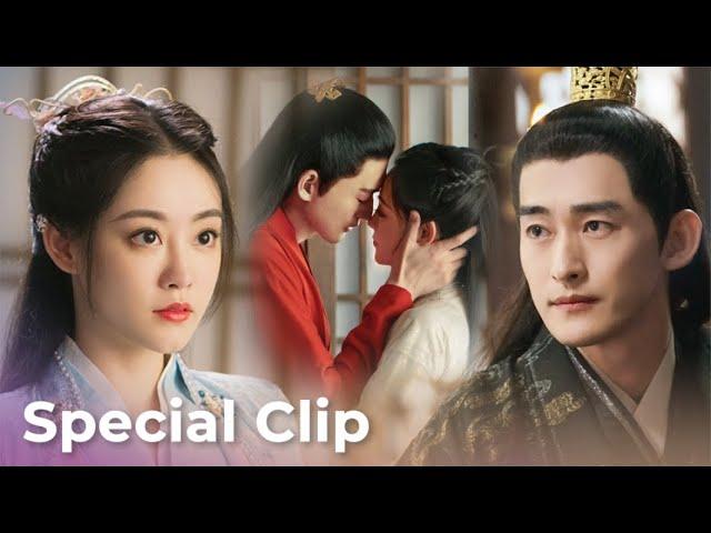 Fateful Love | Special Clip Kumpulan Momen Romantis dan Manis | WeTV