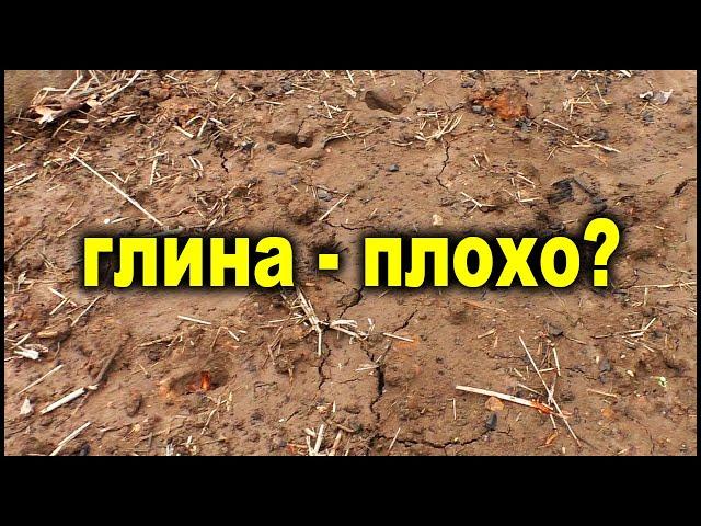 Самая лучшая почва - глина!