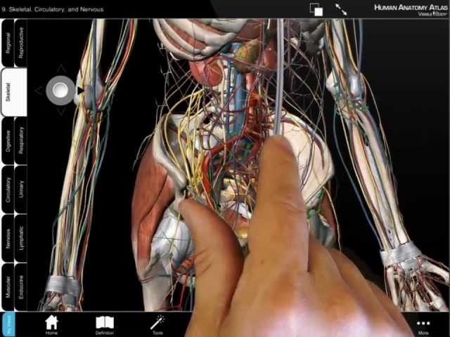 Human Anatomy Atlas - Android Tablet Tutorial