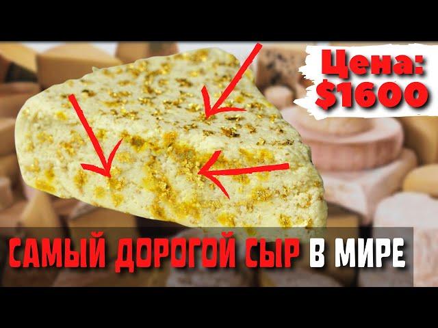 Топ 10 Самых Дорогих Сыров | Самый Дорогой Сыр в Мире