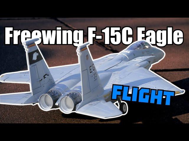 Maiden Flight of my Freewing F-15C Eagle 90mm High Performance EDF Jet - Motion RC