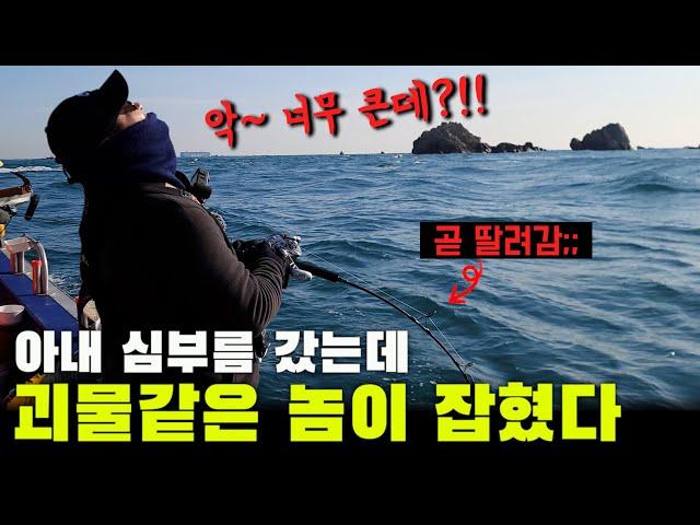 방구석 오마카세, 거대한 물고기를 잡아 내맘대로 먹어보자!! (박선비TV)