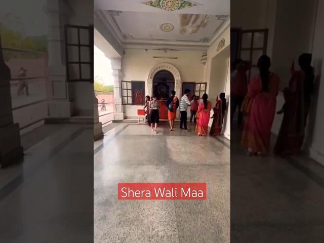 Lalit Bhatt | Maa Shera wali | Banaras | temple 