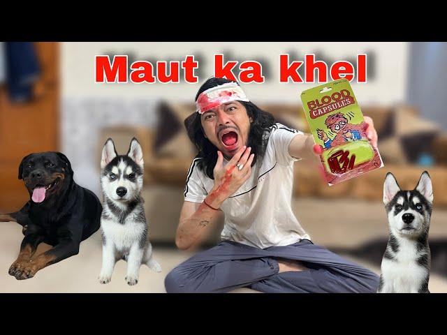 Husky Puppy Reaction on Fake Blood capsule  ￼| Rottweiler | husky | roxycheeni | review reloaded