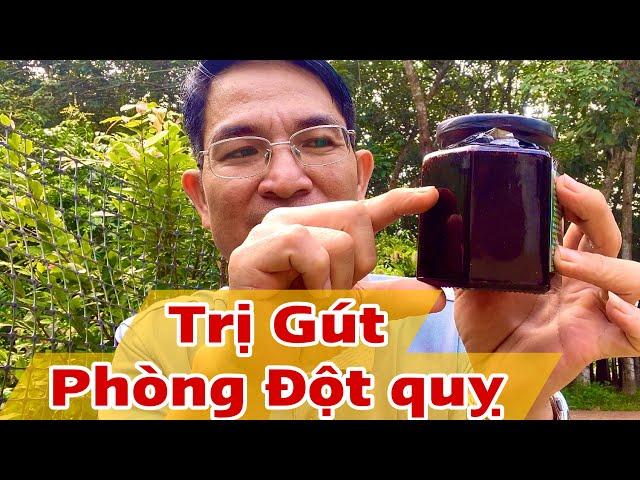 Cách trị Gút và phòng Đột quỵ . PHAN HẢI Channel