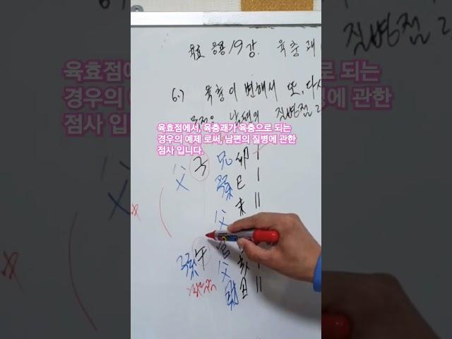 육효점사의 육충괘가            다시, 육충이 된경우.....,