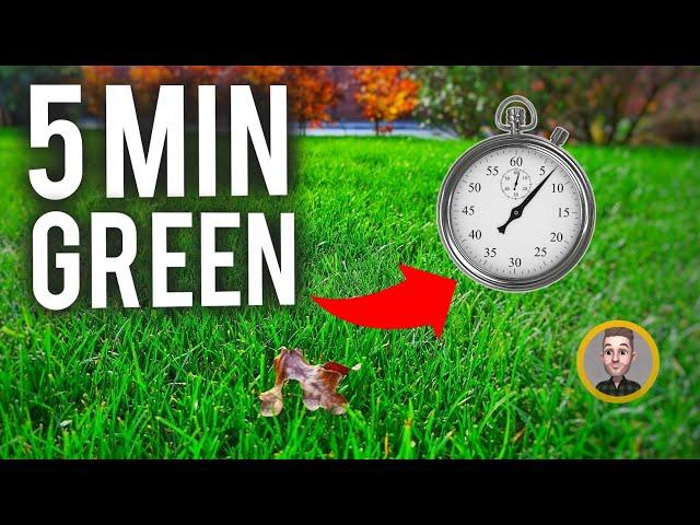 The Secret to a Deep Green Winter Lawn (In 5 Minutes)