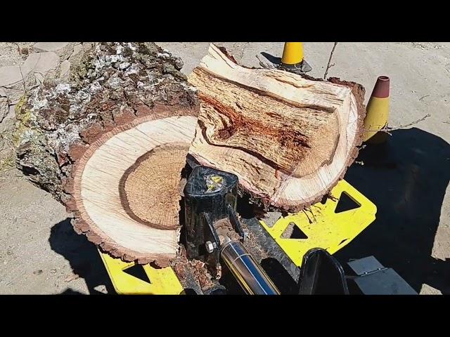 Splitting Oak firewood