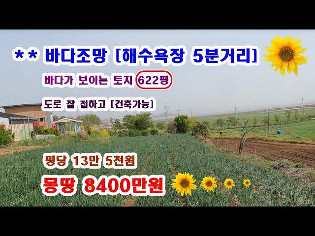 해수욕장 5분거리 바다가 보이는 땅 넓은면적 622평 몽땅 8400만원 아주 좋은 위치에 있습니다  --