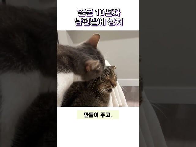 결혼 10년차 남편말에 상처