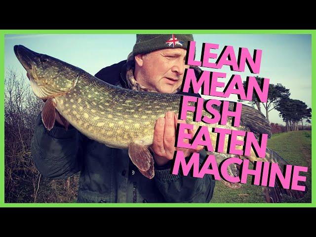 #pike #dbfisheries --- PIKE FISHING ---LEAN MEAN FISH EATING MACHINE---