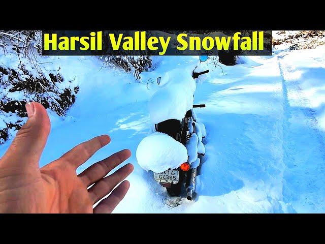 Harsil Valley | Harsil Valley Snowfall | Harsil Valley Uttarakhand #trending #viralvideo #video