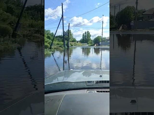 Затоплены дороги, дома, мосты  ждём спада воды  #россия #погода #еманжелинск #стихия #паводок #рек