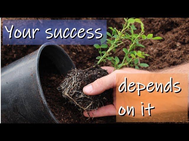 The Secret to Start Your Own Plant Nursery