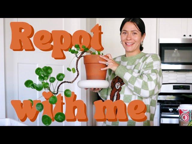 Let's repot houseplants! Plant Care Hang Out Vlog