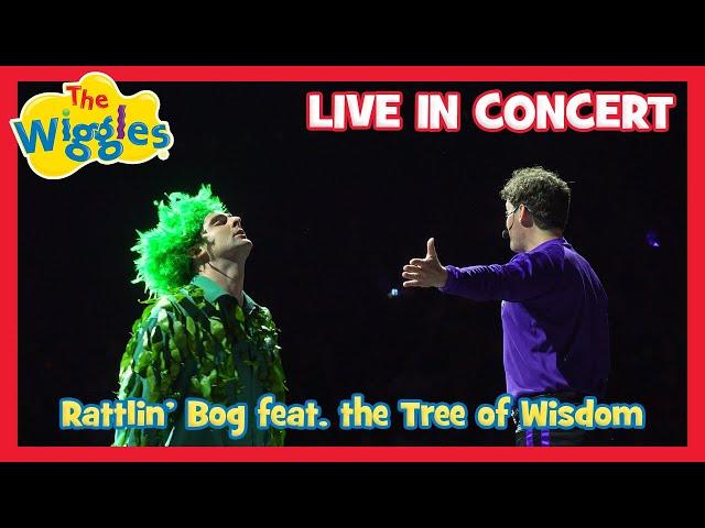 Rattlin' Bog feat. the Tree of Wisdom (Live in Concert) The Wiggles  Wiggly Big Day Out