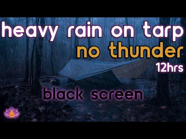 [Black Screen] Heavy Rain on Tarp No Thunder | Rain Ambience | Rain Sounds for Sleeping