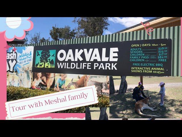 Oakvale Wildlife Park tour with Meshal family | Newcastle Australia