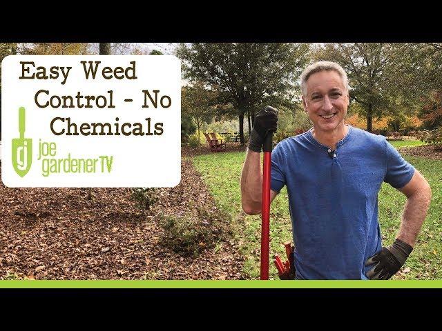 Easy Weed Control Without Chemicals