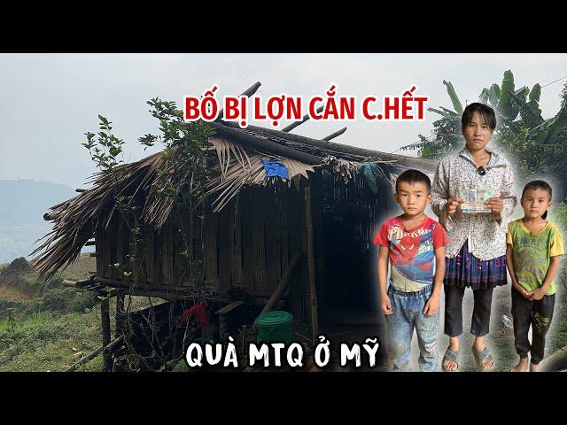 KỲ LẠ.“LỢN CẮN C.HẾT BỐ” 3 MẸ CON CHỊ GIÓ SỐNG KHÔNG NƠI NƯƠNG TỰA/KHỔ HƠN CHỮ KHỔ