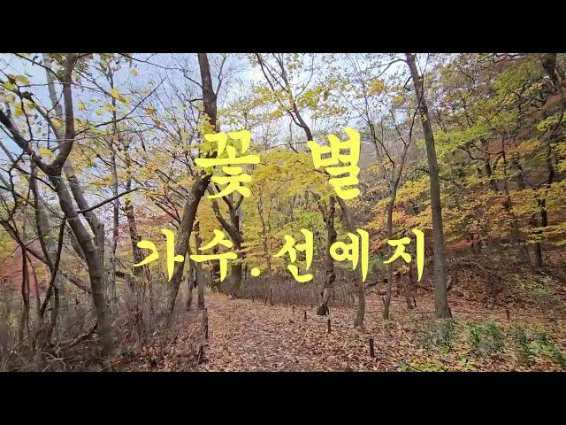 꽃별/가수.선예지/영상을 가로로 보시면 더 아름다워요/(영상.단풍)/2024.11.25.