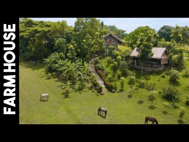 COW ●  Big Farm House Tour 929 ● Farm House in Silang Cavite ● Over 100 Mango Trees● 30 lansones 3s