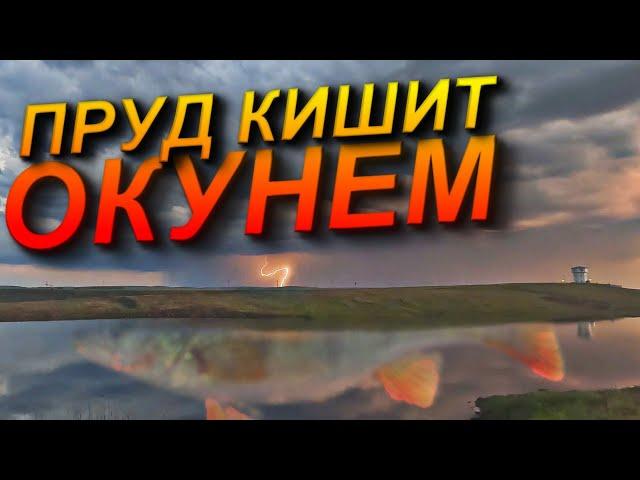 ОКУНИ МОНСТРЫ НА КАЖДОМ ЗАБРОСЕ! СПИННИНГ В ДУГУ СИЛИКОН В КЛОЧЬЯ! ЛОВЛЯ ОКУНЯ НА СПИННИНГ. РЫБАЛКА