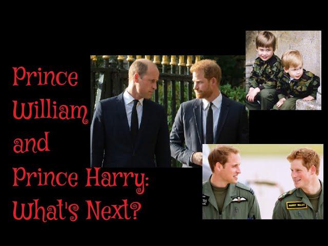 (247) Prince William and Prince Harry: What's Next?