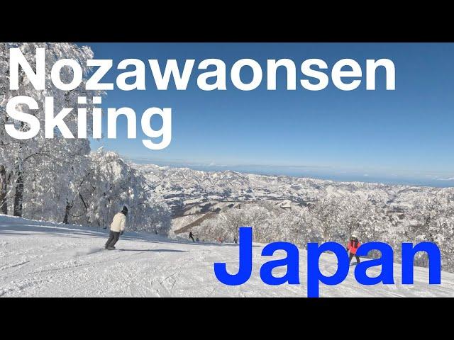 Bluebird Day Nozawaonsen Skiing [POV Video]