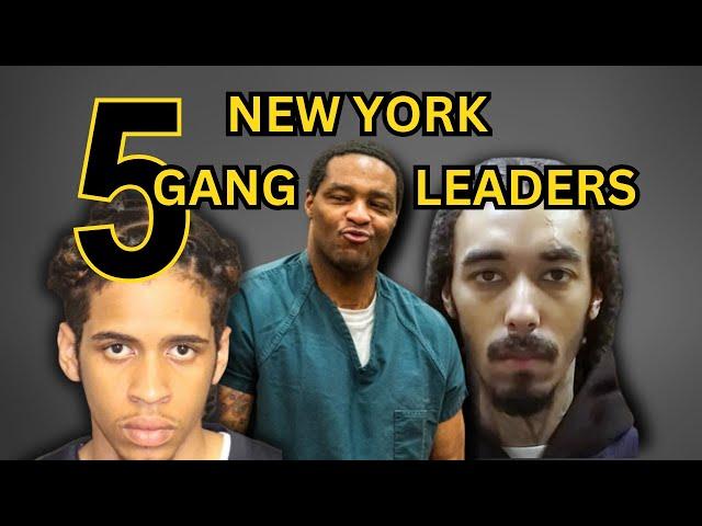 Gang Leaders of New York: True Crime Stories