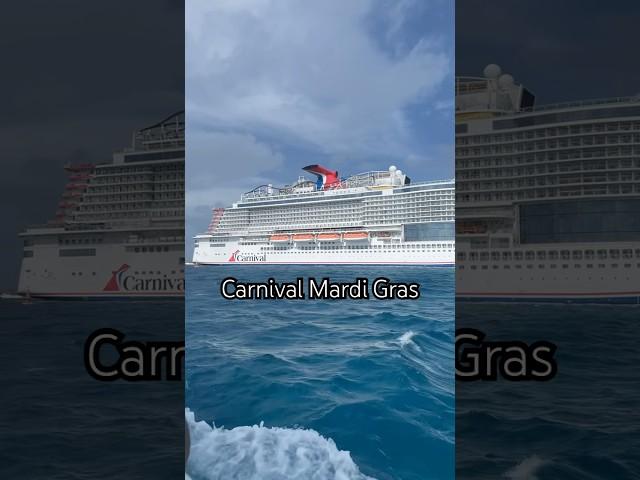 It was massive  #carnival #carnivalcruise #carnivalmardigras #mardigras #turksandcaicos #turks