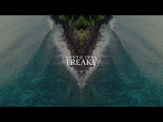 Geeyo Ibra - Freaky (Visualizer)