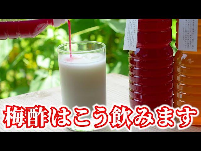 【梅酢ドリンク】梅酢オタクが全力で伝える飲み物レシピ３選！