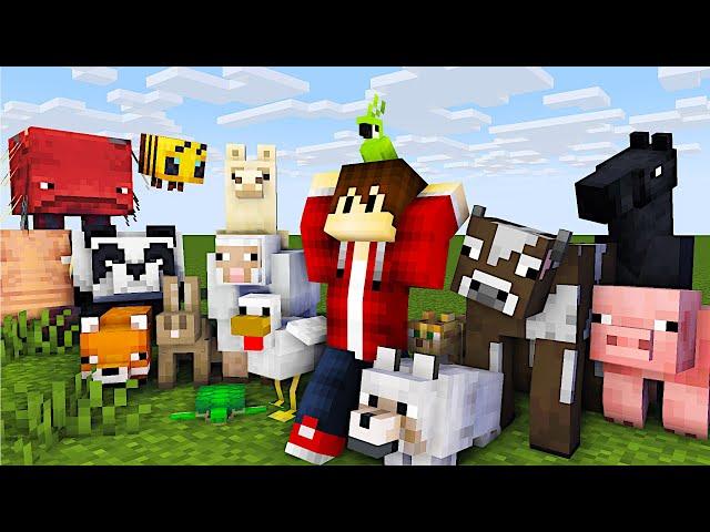 Alle Tiere Zähmen und Vermehren in Minecraft | LarsLP