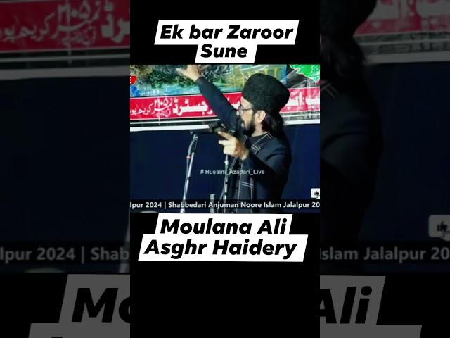 Janb Moulana Ali Asgar Haidery Sahab Jalalpuri | Bayan jalalpur | Ek Bar Zaroor Sune 2 Rabiul Awwal