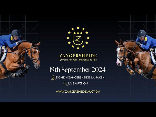 Zangersheide Quality Jumpers - Powered by MBA