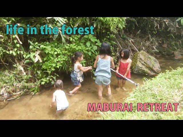 Self-Sufficiency, Forest Life, Rural Japan, Summer vegetable harvest,  Banana stem cooking, Ghibier,