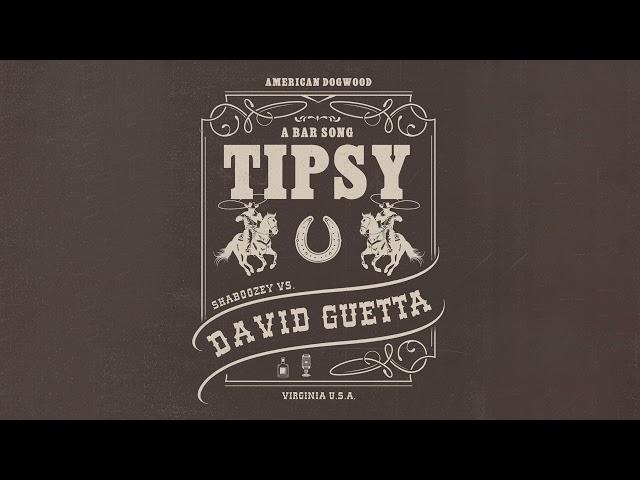 Shaboozey vs. David Guetta - A Bar Song (Tipsy) [Remix] (Official Visualizer)