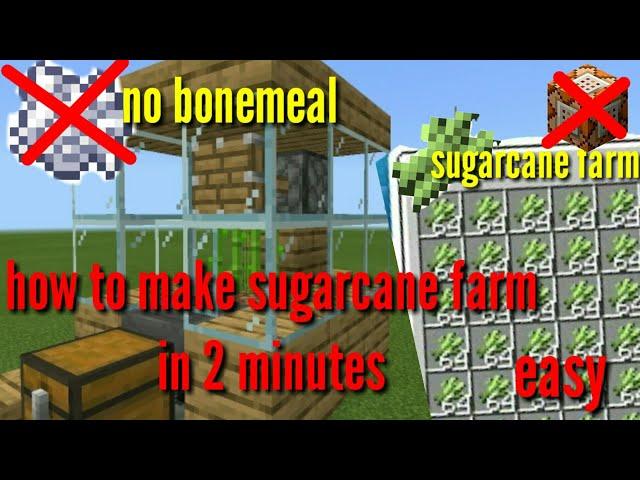 how to make sugarcane farm in Minecraft 1.17 | how to make sugarcane farm in Minecraft 1.17 pe |