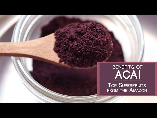 Benefits of Acai, One of the Top Fruits from the Amazon