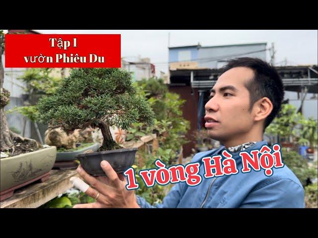 (Tập 1 ) Vườn Phiêu Du | seri : 1 vòng Hà Nội cùng Bonsai Ông Trẻ