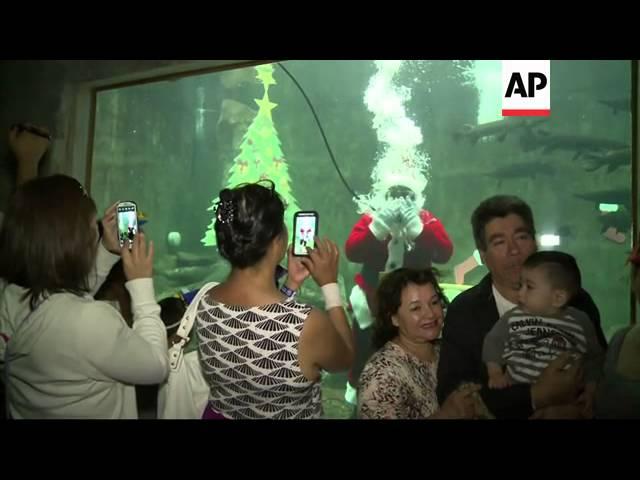 Guadalajara Zoo has added a sub-aquatic Santa Claus to its attractions to greet visitors to the aqua