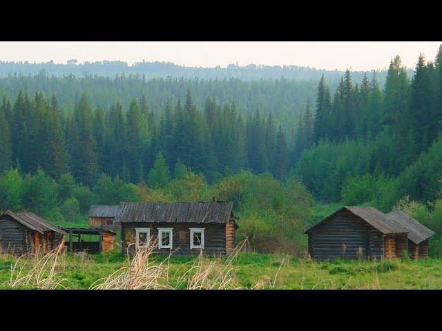 35 лет в Тайге. Наша Жизнь в Глуши. Осень, Боровики, Рыбалка, Загадочная Щука.  Они Пришли к Костру.