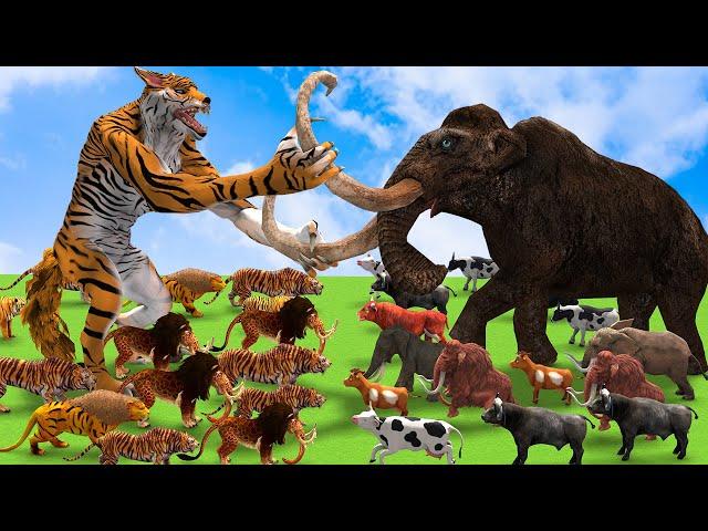 10 African Elephant Vs 10 Giant Tiger Save Cow Video Buffalo From Tiger Wolf Vs Mammoth Elephant