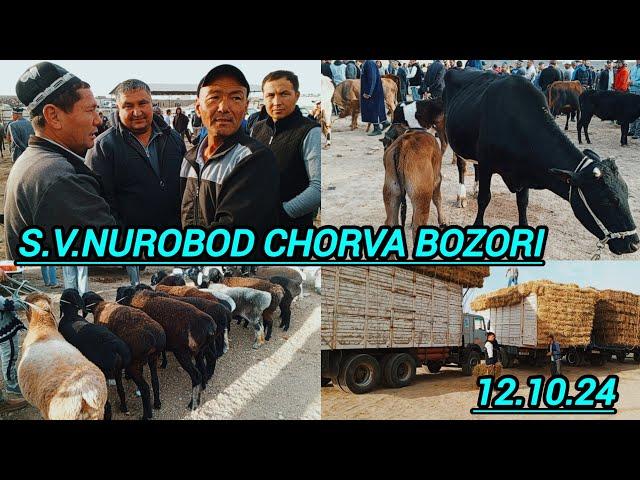 SAMARQAND V NUROBOD SHAHAR CHORVA BOZORIDAN NARXLAR 12.10.24 ELYOR UZ ️ 901998090