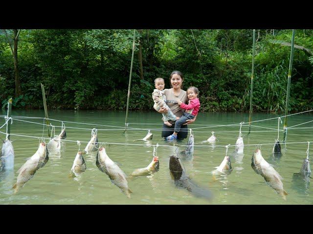 Harvest gourds to sell at the market - trap giant fish, cook with your children